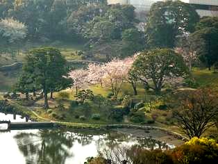 芝離宮恩賜庭園.JPG