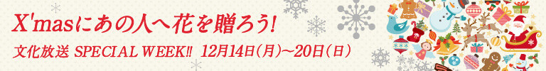 スペシャルウィーク番組情報